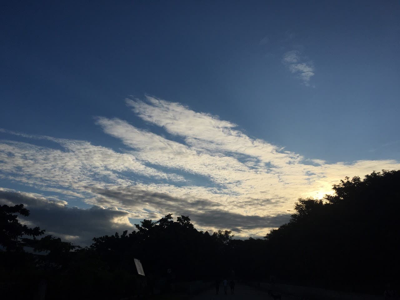 Cirrus cloud in the evening sky